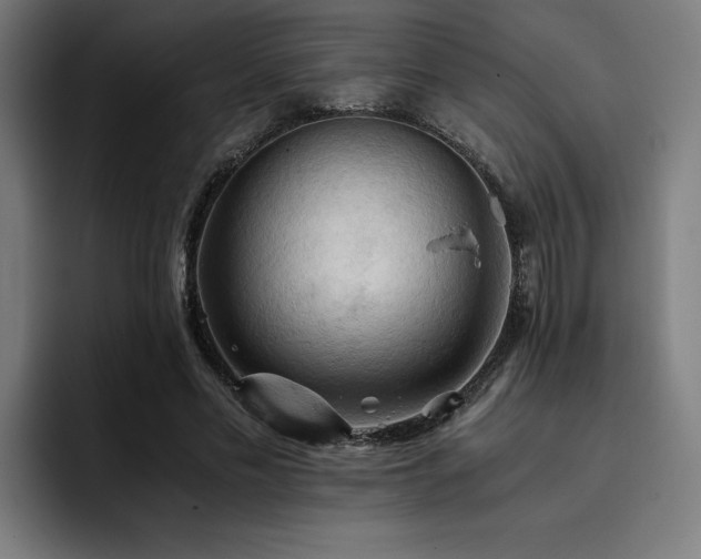 X0000093410589200710121119