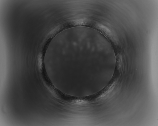 X0000093410590200710121119