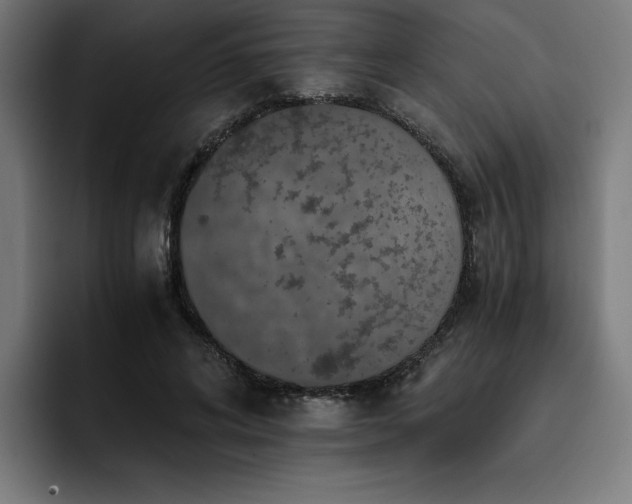 X0000093410592200710121119