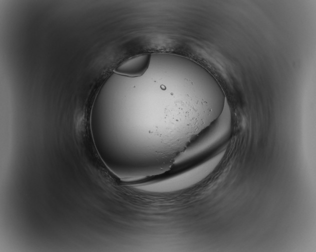 X0000093410597200710121119