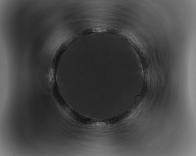 X0000093410598200710121119