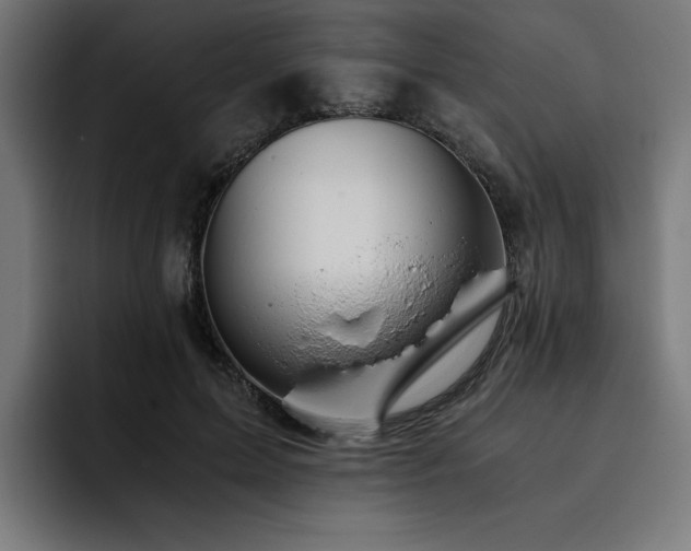 X0000093410599200710121119