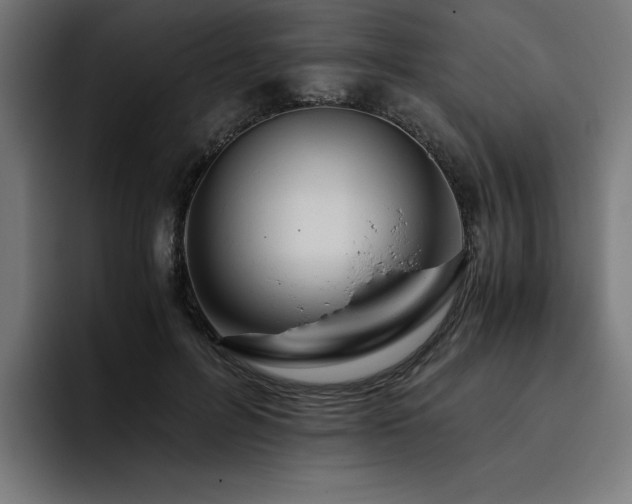 X0000093410600200710121119