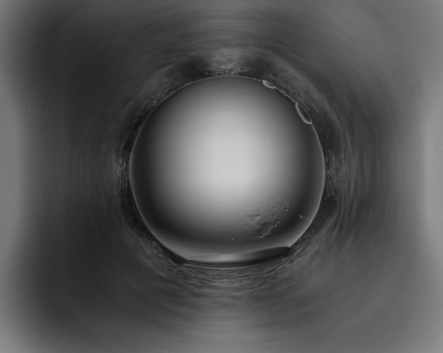 X0000093410601200710121119