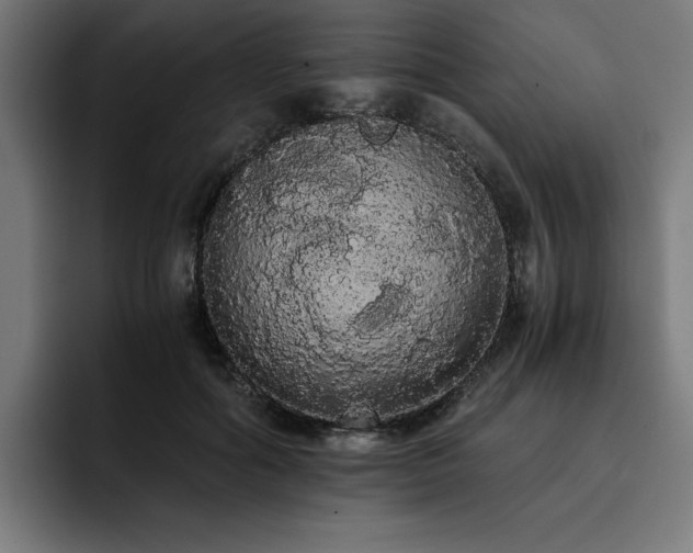 X0000093410602200710121119