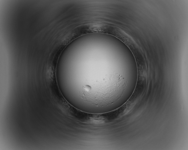 X0000093410603200710121118