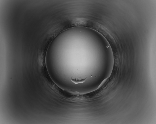 X0000093410604200710121118