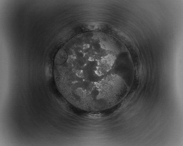 X0000093410606200710121118