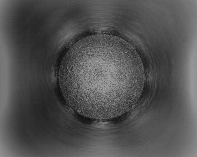 X0000093410607200710121118