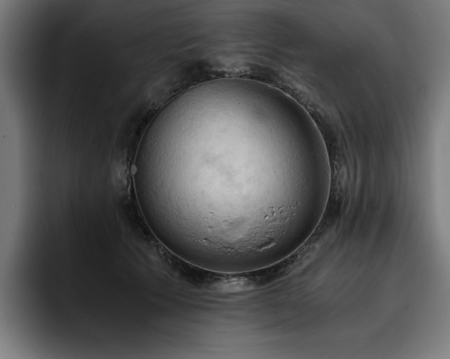 X0000093410609200710121118