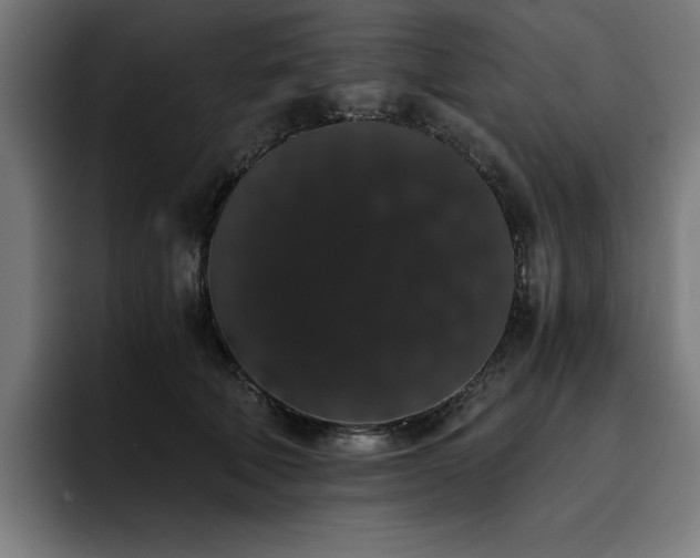 X0000093410610200710121118