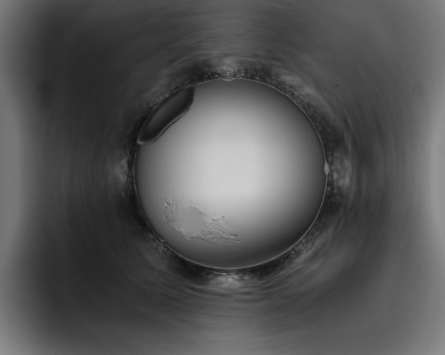 X0000093410611200710121118