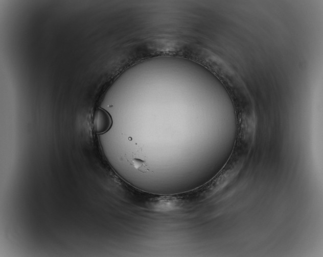 X0000093410612200710121118