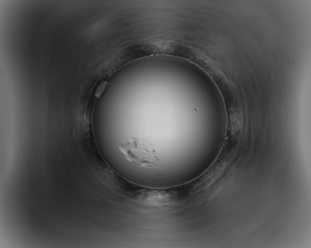 X0000093410613200710121118