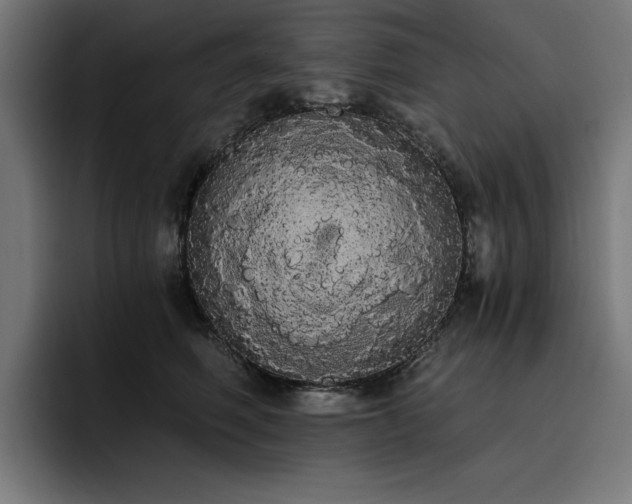 X0000093410614200710121118