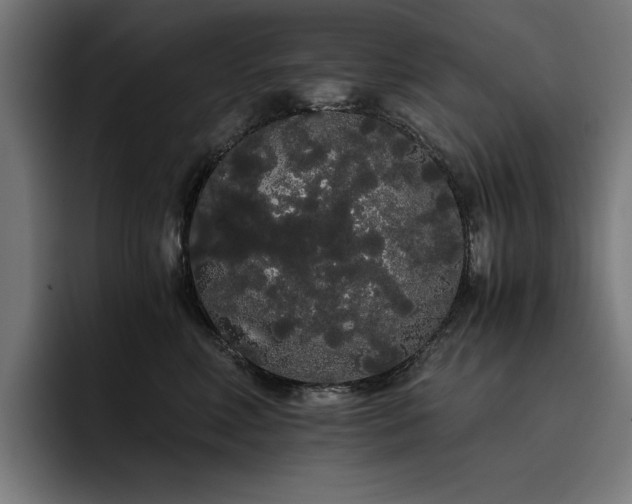 X0000093410618200710121118