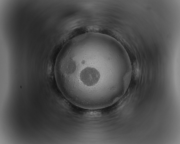 X0000093410619200710121118