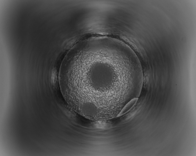 X0000093410623200710121118