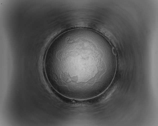 X0000093410625200710121118