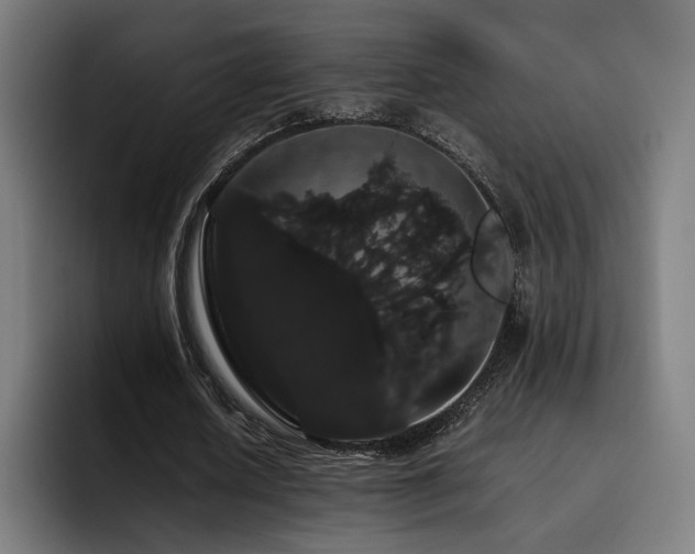 X0000093410626200710121118