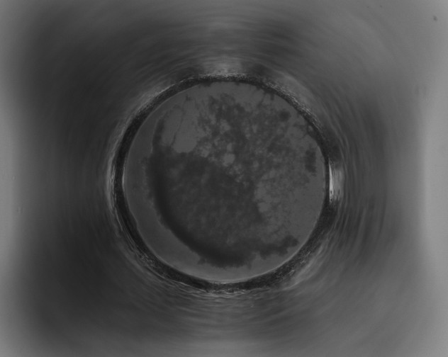 X0000093410627200710121118