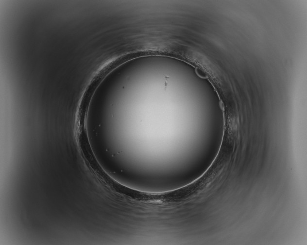 X0000093410628200710121118