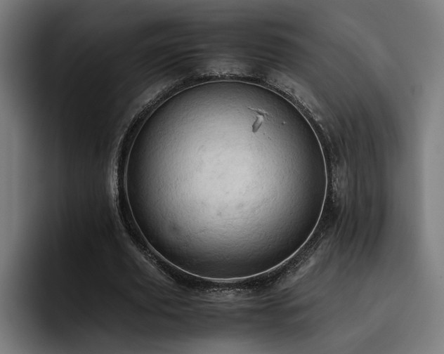 X0000093410629200710121118