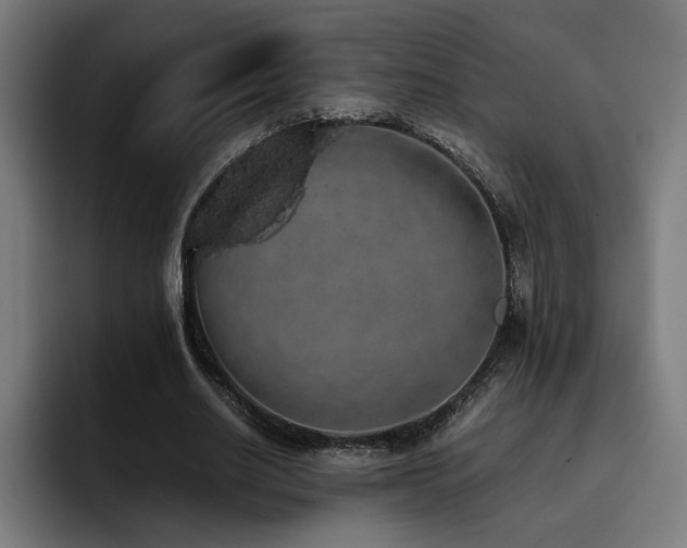 X0000093410630200710121118