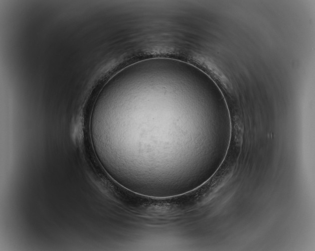 X0000093410631200710121118