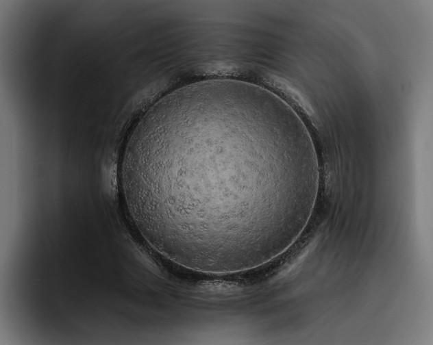 X0000093410633200710121118