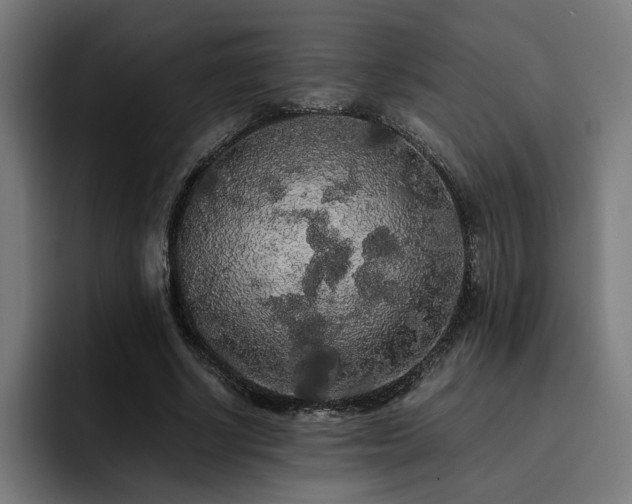 X0000093410634200710121118