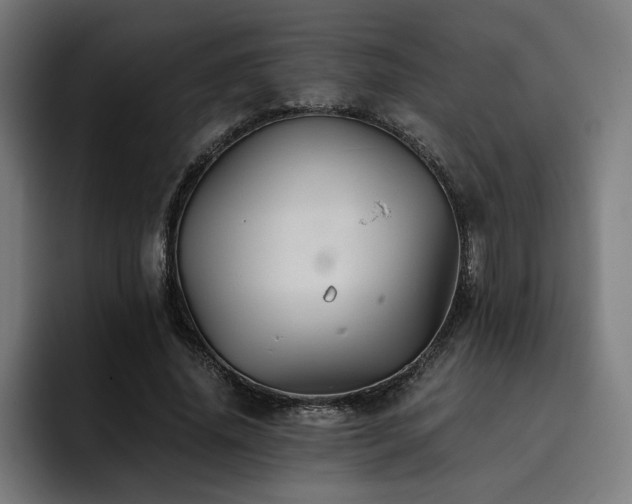 X0000093410636200710121118