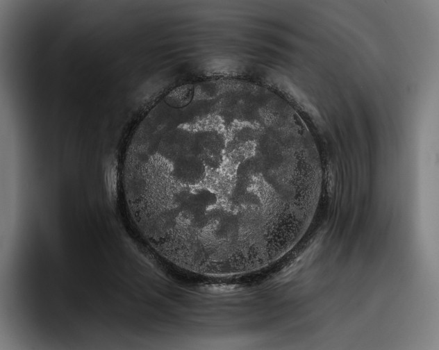 X0000093410637200710121118