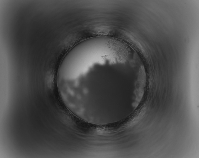 X0000093410641200710121118