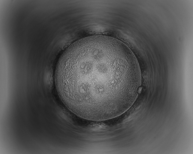 X0000093410642200710121118