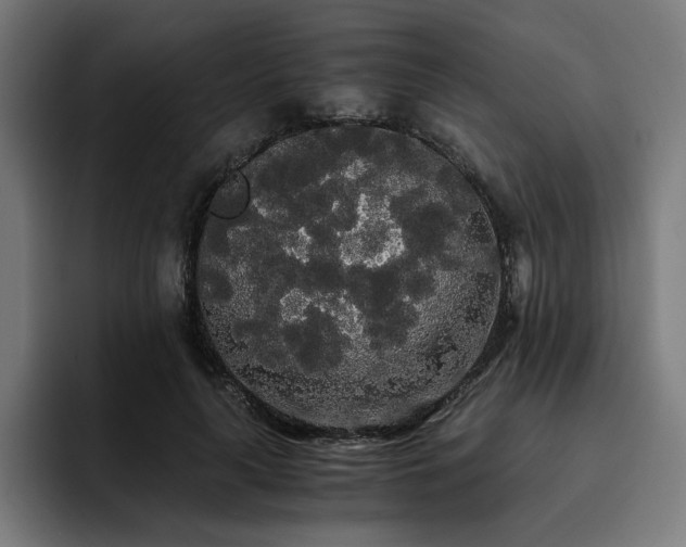 X0000093410643200710121118