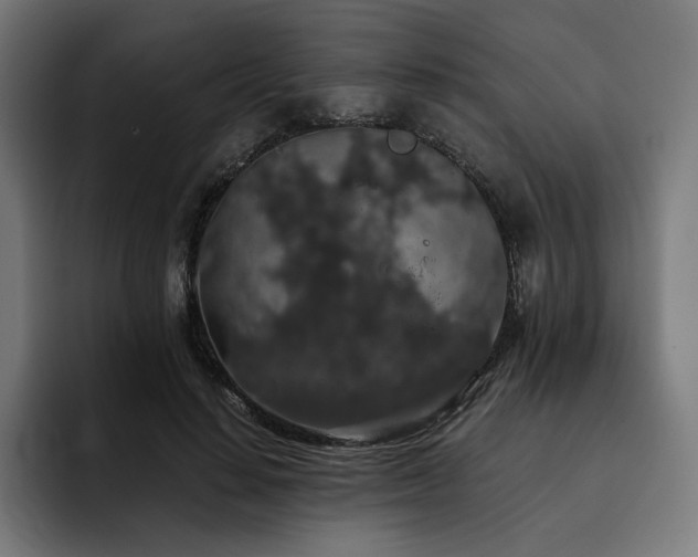 X0000093410644200710121118