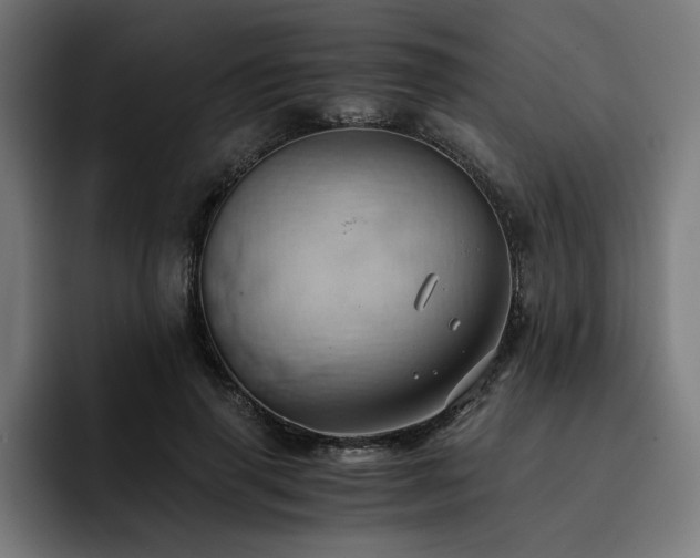 X0000093410645200710121118