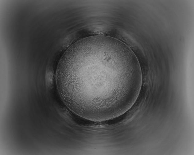 X0000093410646200710121118