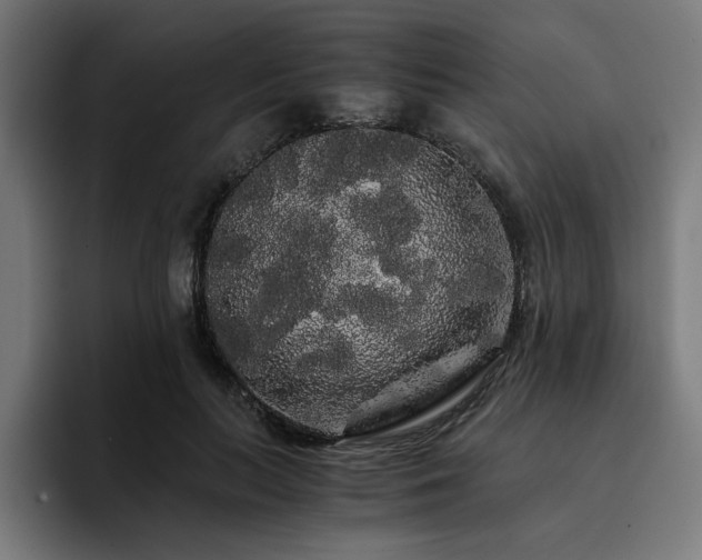 X0000093410647200710121118