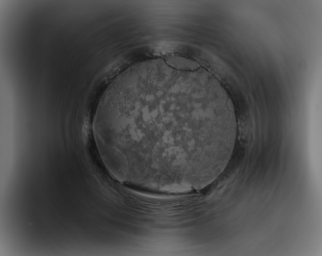 X0000093410648200710121118