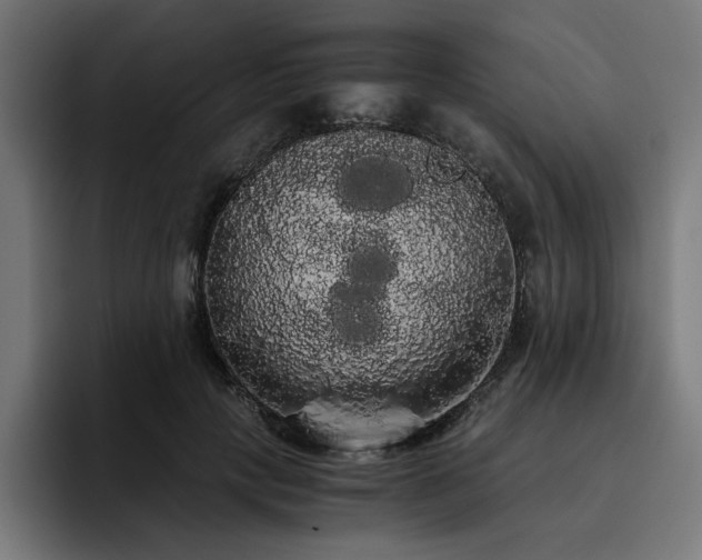 X0000093410649200710121118