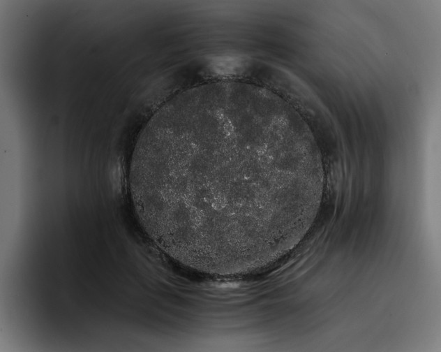 X0000093410651200710121118