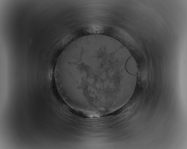 X0000093410652200710121118