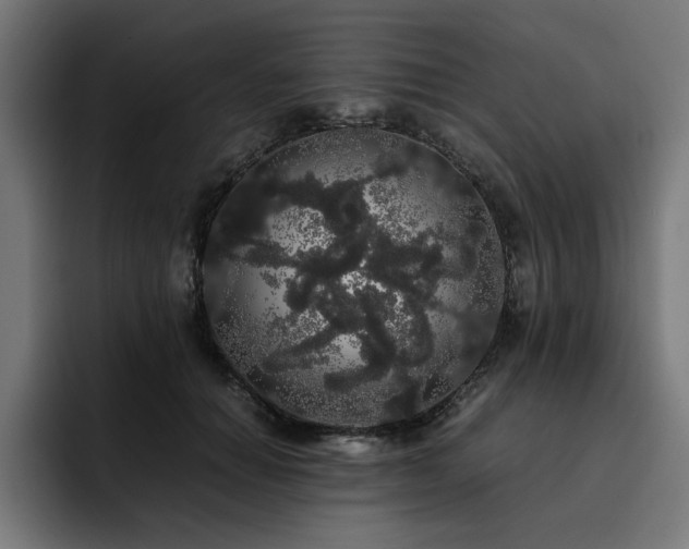 X0000093410654200710121118