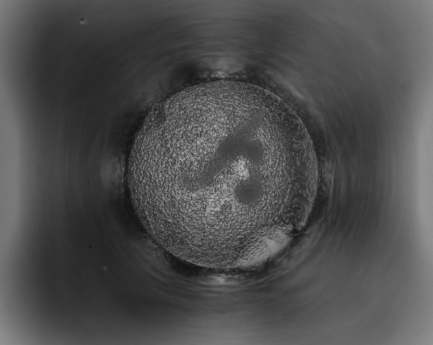 X0000093410657200710121118