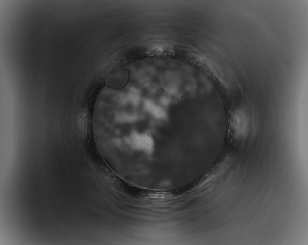 X0000093410659200710121118