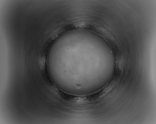 X0000093410660200710121118