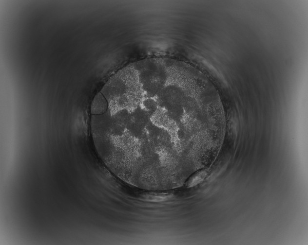 X0000093410661200710121118