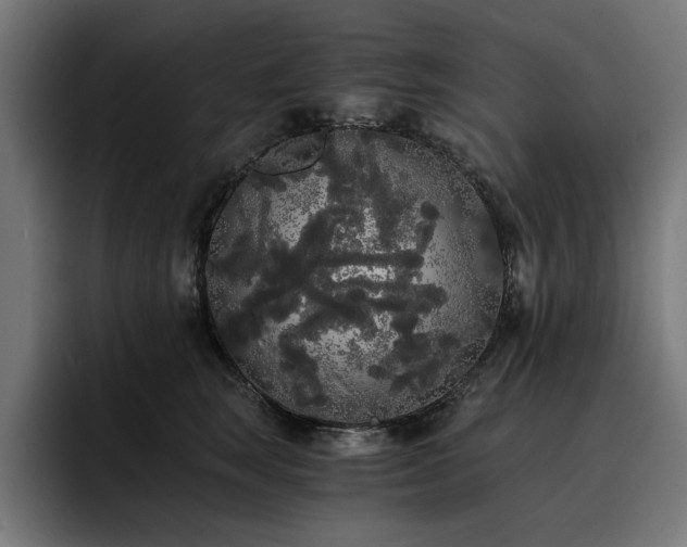 X0000093410663200710121118